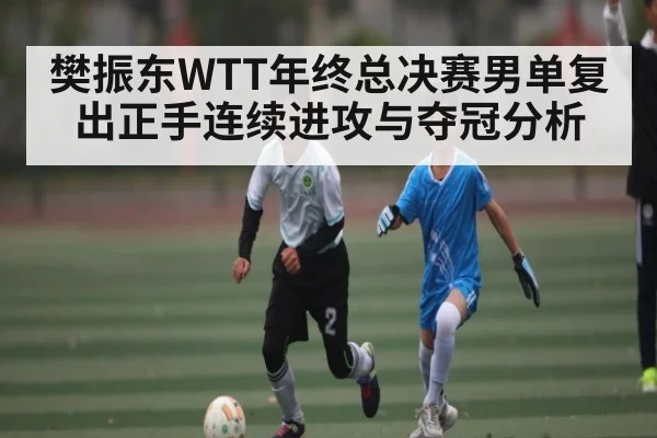 樊振东WTT年终总决赛男单复出正手连续进攻与夺冠分析